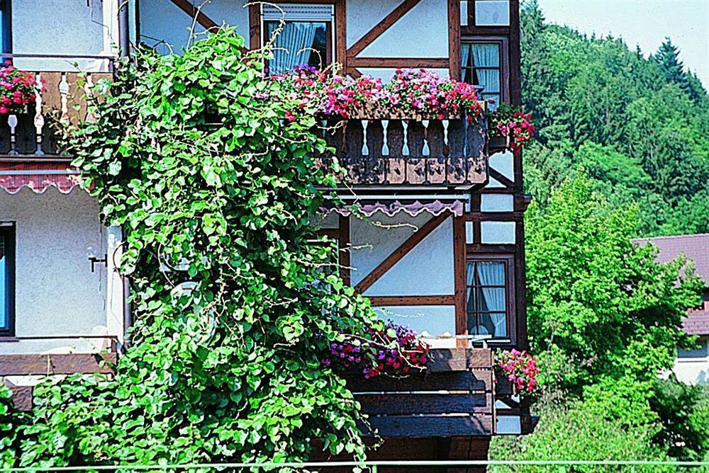 Hotel Hirsch บาด ปีเตอร์สตัล กรีสบาค ภายนอก รูปภาพ